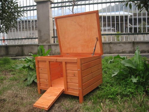 Giant hide house for rabbit - for,