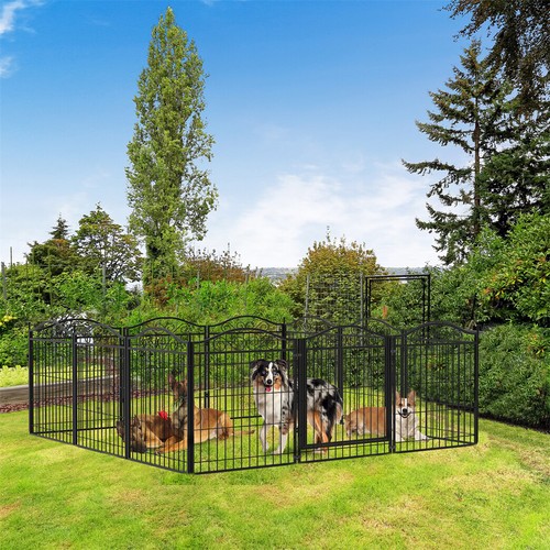 Huge heavy duty - duty, dog