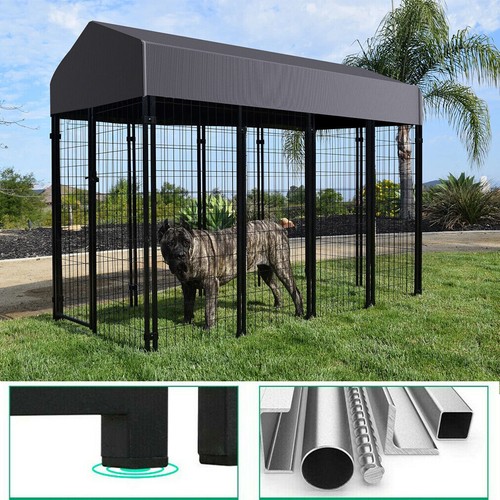 Jumbo outdoor dog kennel - dog,