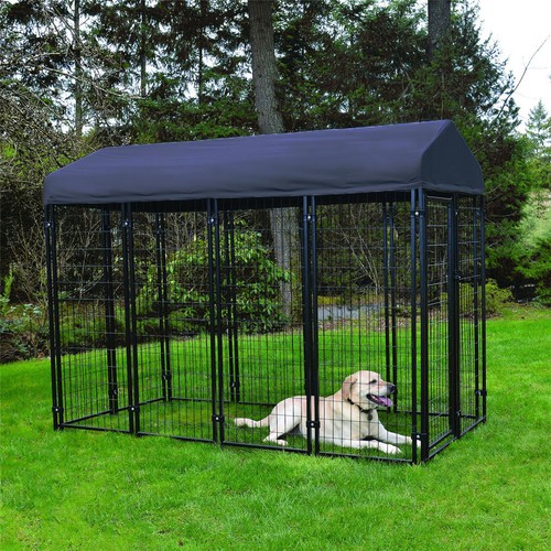 Xxl outdoor dog kennel walk - dog, in