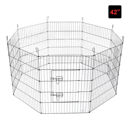 Panel pet play - panel, dog