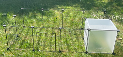 Homidec rabbit run - rabbit, run,puppy